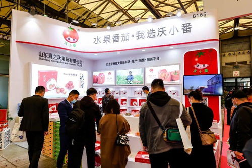 斥資1.06億元打造全國首家番茄文化產業園,讓更多人吃到綠色健康的番茄食品