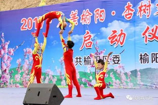大美榆陽(yáng) 杏樹(shù)文化旅游系列活動(dòng)啟動(dòng)儀式暨大型演出 陜北娛樂(lè)網(wǎng)
