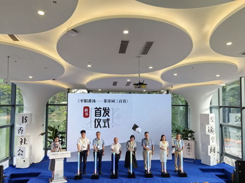 打造文化運營業態 平陽開啟公共文化服務社會化運營新模式