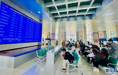 西藏實施一攬子政策助力高校畢業生就業創業