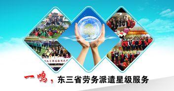 阜新社保代理 免費咨詢